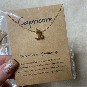Capricorn Necklace (ACCEPTING REASONABLE OFFERS)